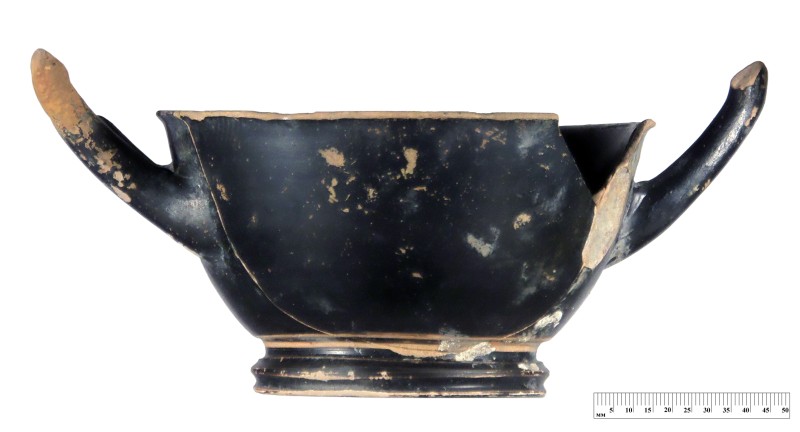 Кілік чорнолаковий