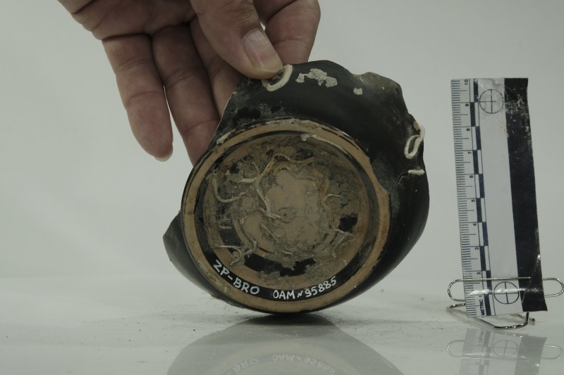 Кілік чорнолаковий