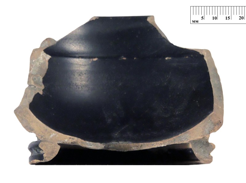 Кілік чорнолаковий