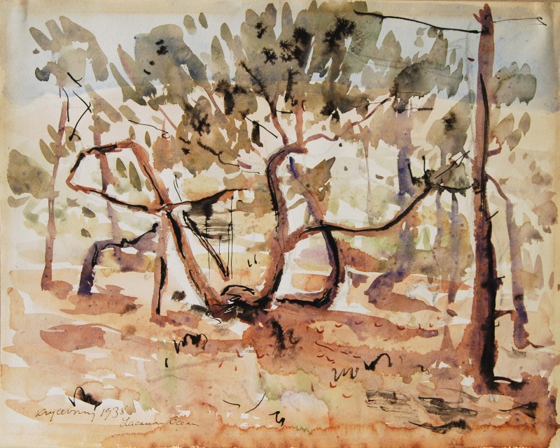 Покручене дерево. 1938