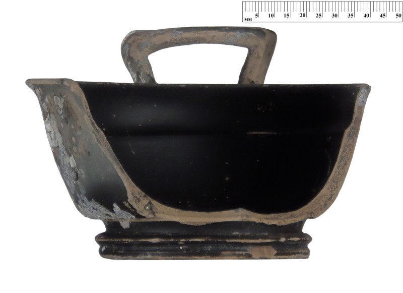 Кілік чорнолаковий