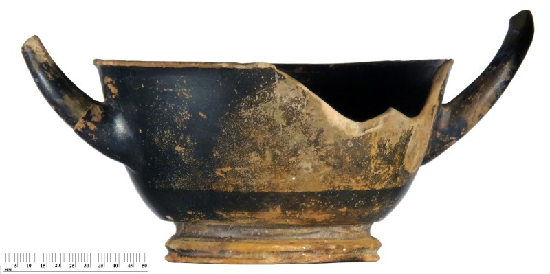 Кілік чорнолаковий