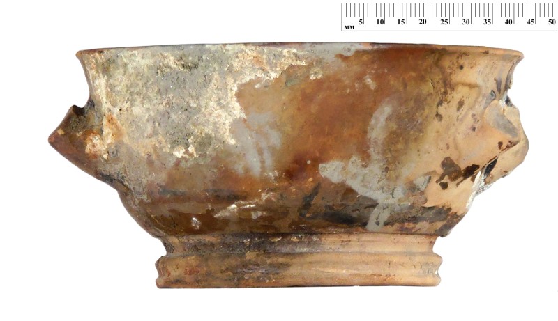 Кілік чорнолаковий