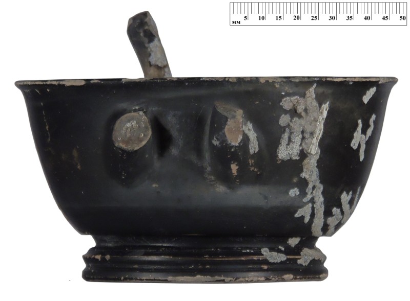 Кілік чорнолаковий