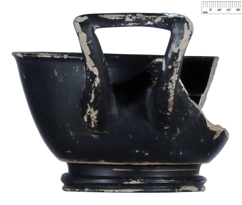 Кілік чорнолаковий