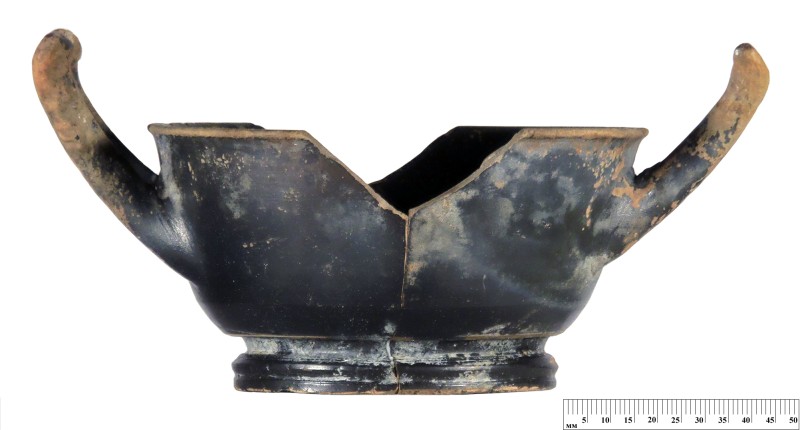 Кілік чорнолаковий