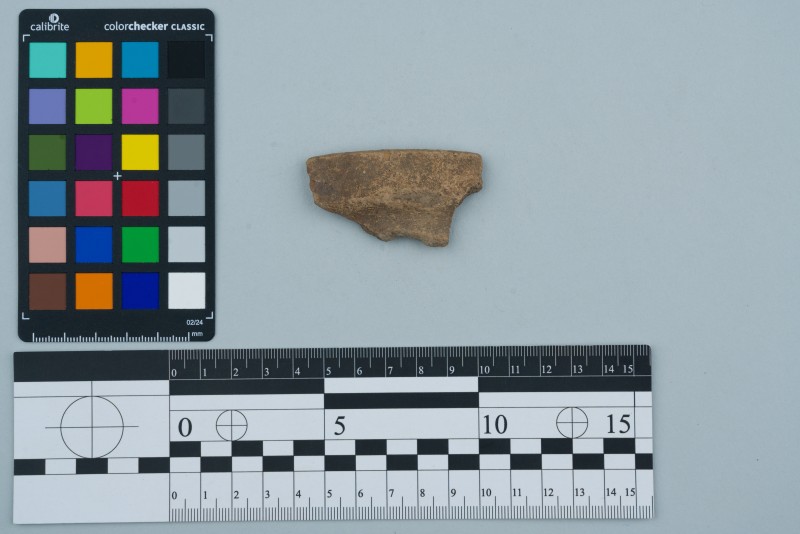 Вінчик посудини