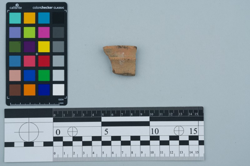 Вінчик посудини