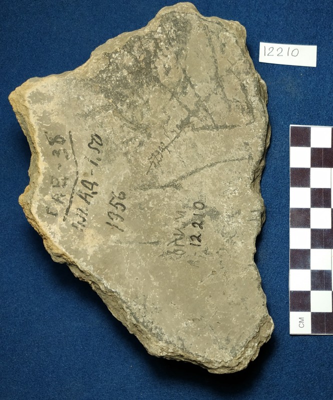 Фрагмент дна ліпної жовтоглиняної посудини