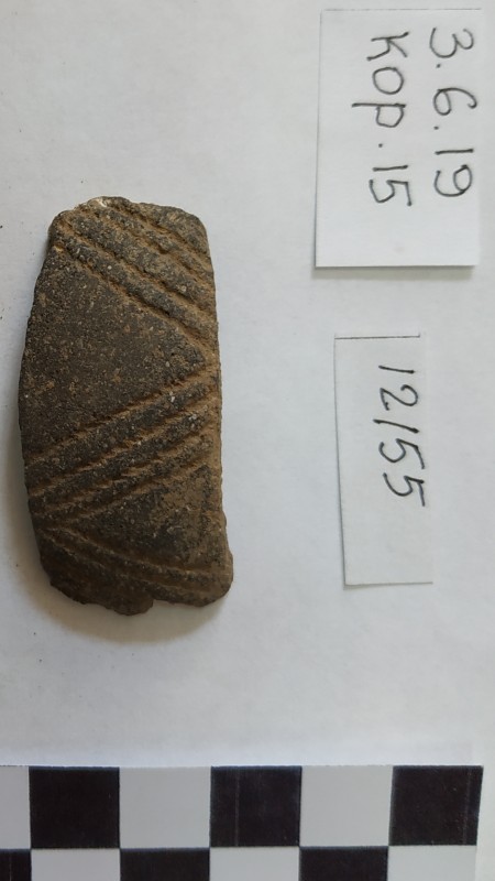 Фрагмент вінець сіроглиняної ліпної посудини