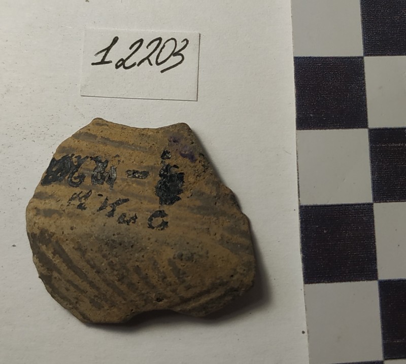 Фрагмент стінки ліпної сіроглиняної посудини (опуклої)