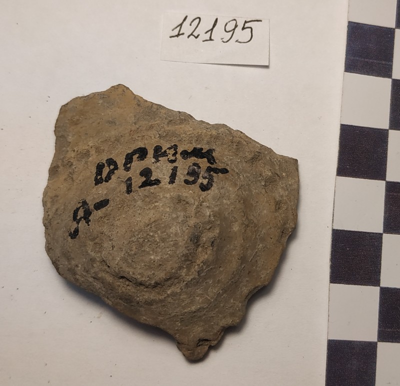 Фрагмент стінки ліпної товстостінної сіроглиняної посудини