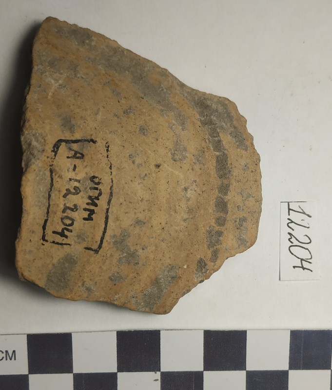 Фрагмент стінки ліпної сіроглиняної посудини