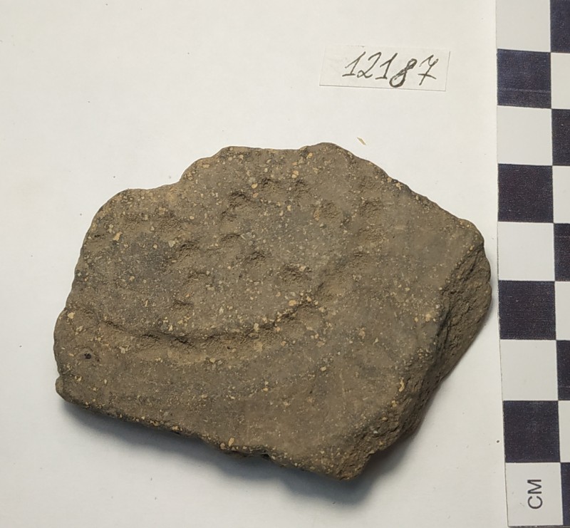 Фрагмент стінки ліпної товстостінної сіроглиняної посудини