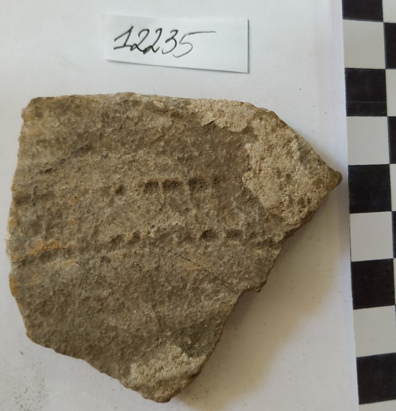 Фрагмент стінки ліпної сіроглиняної посудини