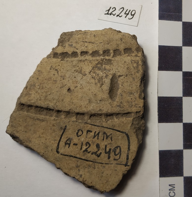 Фрагмент стінки ліпної сіроглиняної посудини