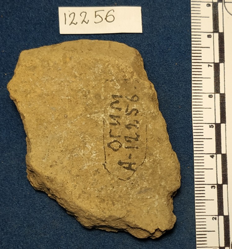 Фрагмент дна ліпної сіроглиняної посудини жовтого кольору ззовні