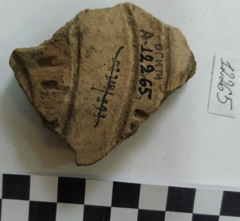 Фрагмент стінки ліпної сіроглиняної посудини