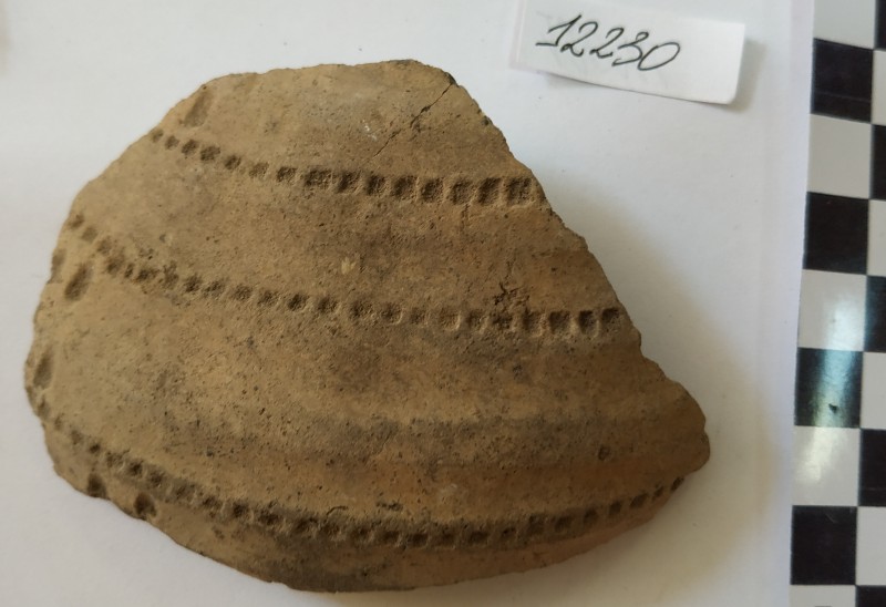 Фрагмент стінки ліпної сіроглиняної посудини