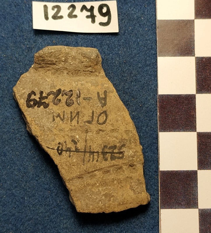 Фрагмент вінець ліпної сіроглиняної  посудини