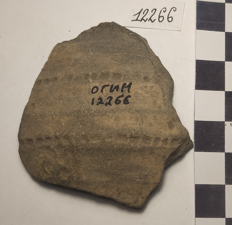 Фрагмент стінки ліпної сіроглиняної посудини