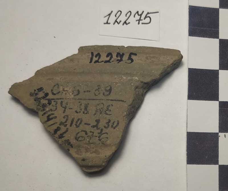 Фрагмент стінки ліпної сіроглиняної посудини