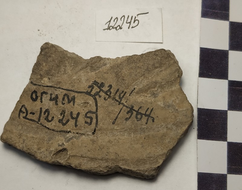 Фрагмент стінки ліпної сіроглиняної  посудини