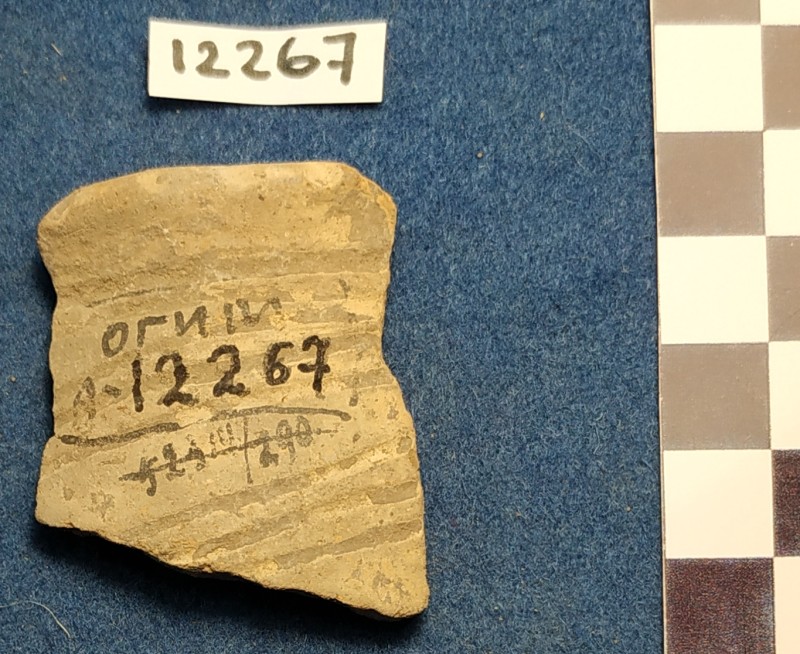 Фрагмент вінець ліпної жовтоглиняної посудини