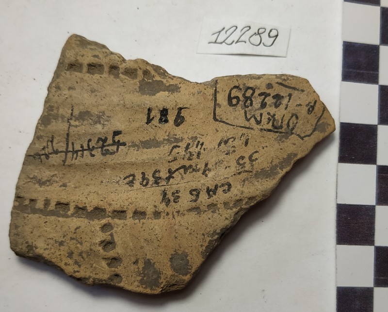 Фрагмент стінки ліпної жовтоглиняної посудини