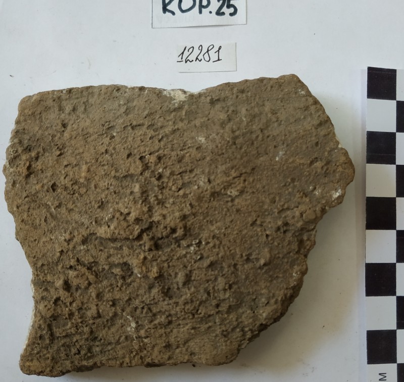 Фрагмент стінки ліпної сіроглиняної  посудини