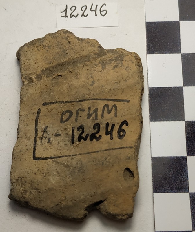 Фрагмент стінки ліпної жовтоглиняної посудини