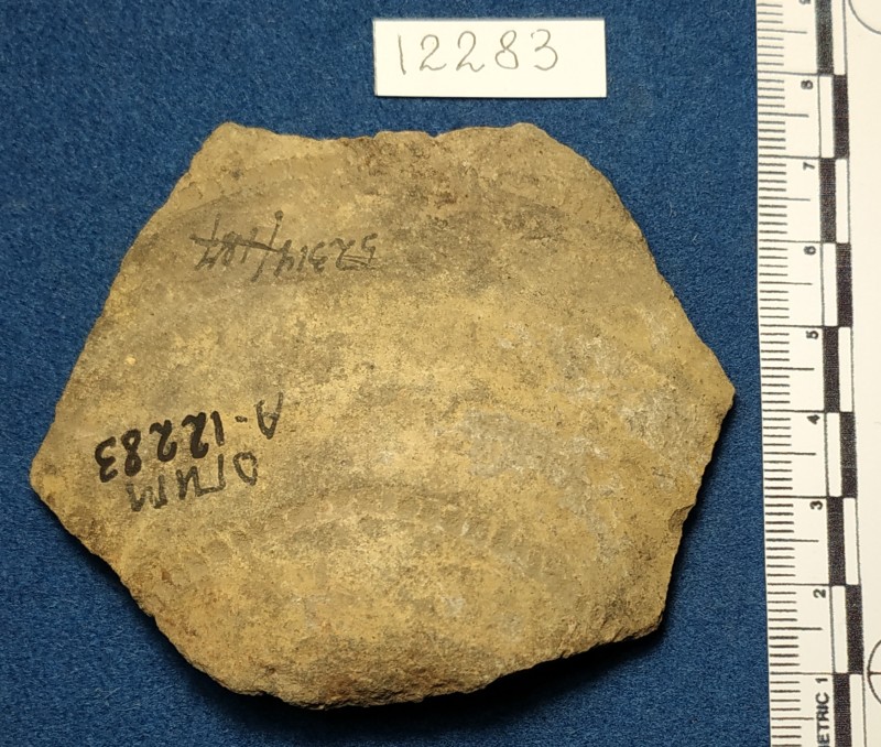 Фрагмент дна та придонної частини ліпної сіроглиняної посудини жовтого кольору  ззовні