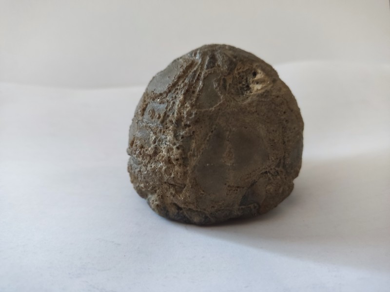 Морський їжак