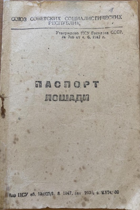 Паспорт коня