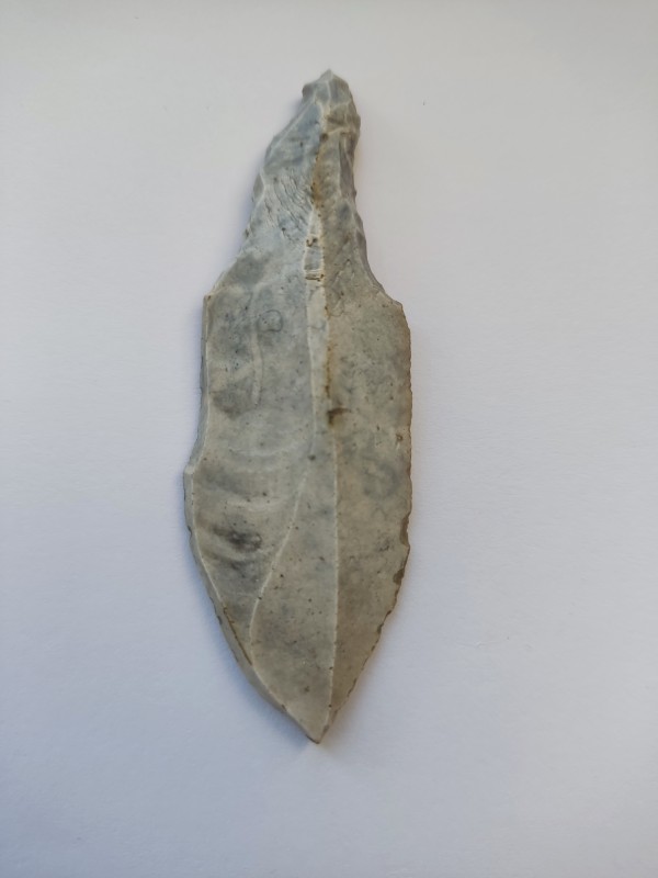 Гостроконечник