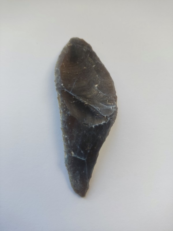 Гостроконечник