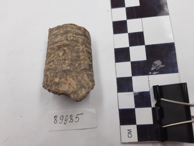 Фрагмент тулубу глиняної статуетки