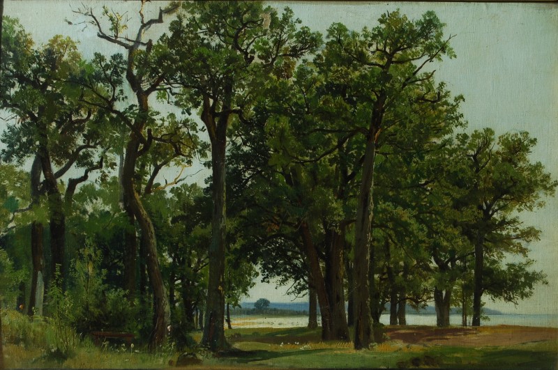 Узлісся дубового гаю. 1890-і
