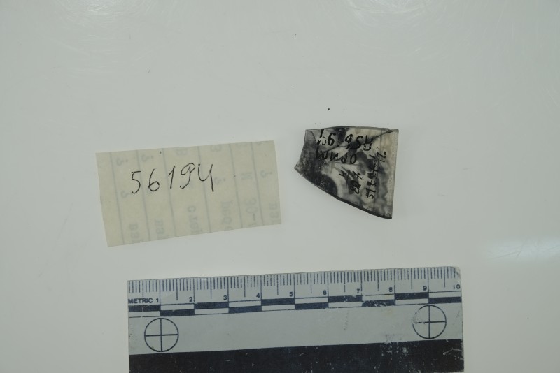 Фрагмент стінки