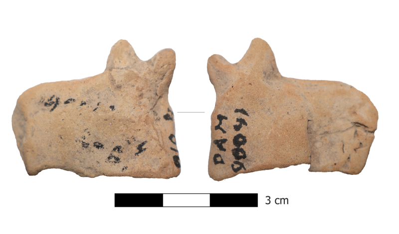 Зооморфний фрагмент