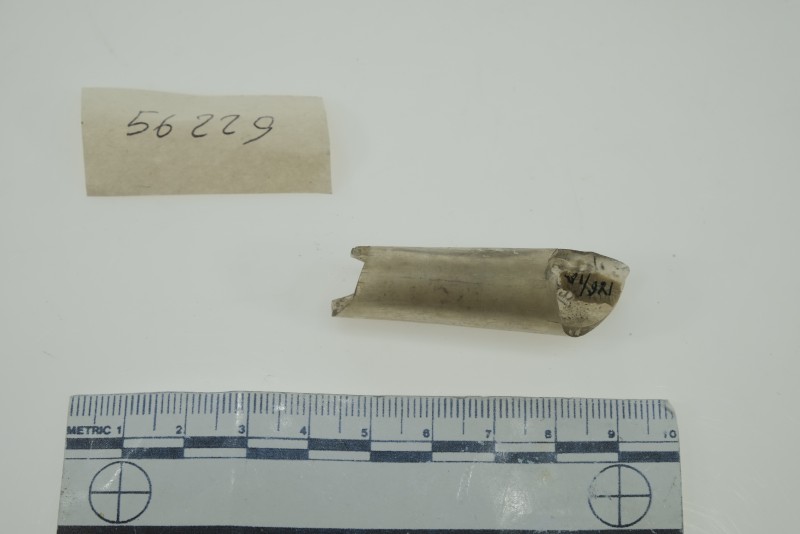 Фрагмент шийки