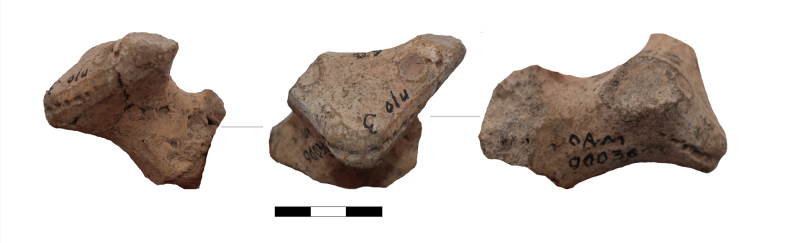 Фрагмент стінки столової посудини з зооморфною ручкою.