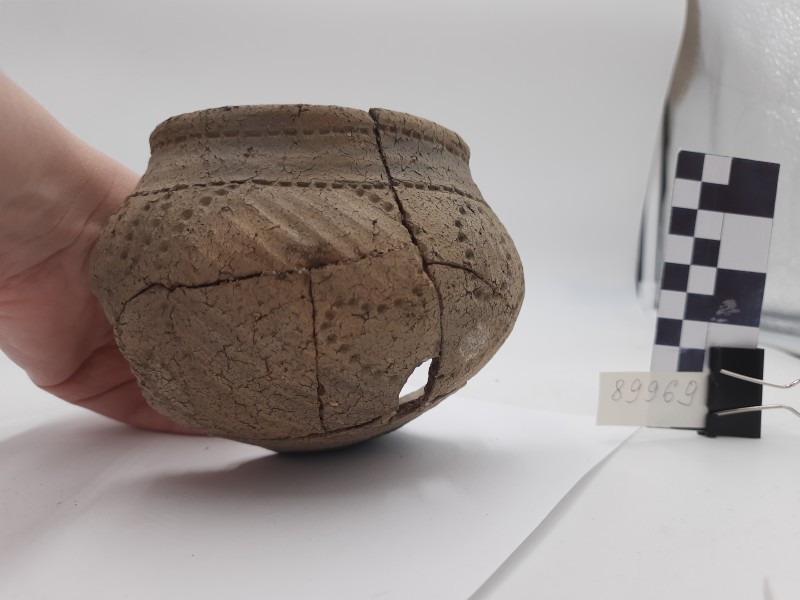 Профільна частина столової посудини із тулубом сферичної форми.