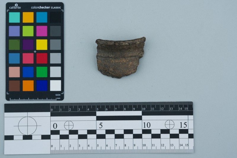 Вінчик посудини