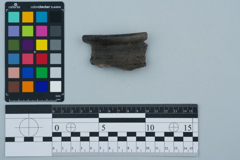 Вінчик посудини