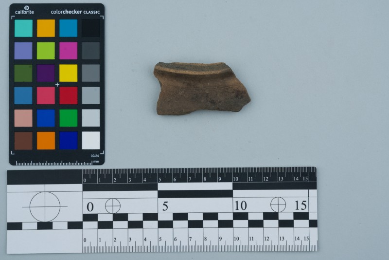 Вінчик посудини