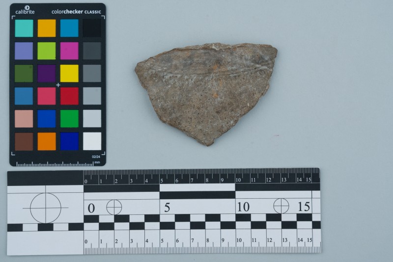 Боковина посудини