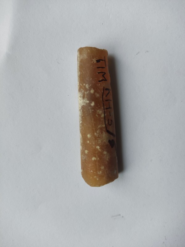 Белемніт (ростр)