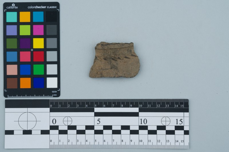 Вінчик посудини