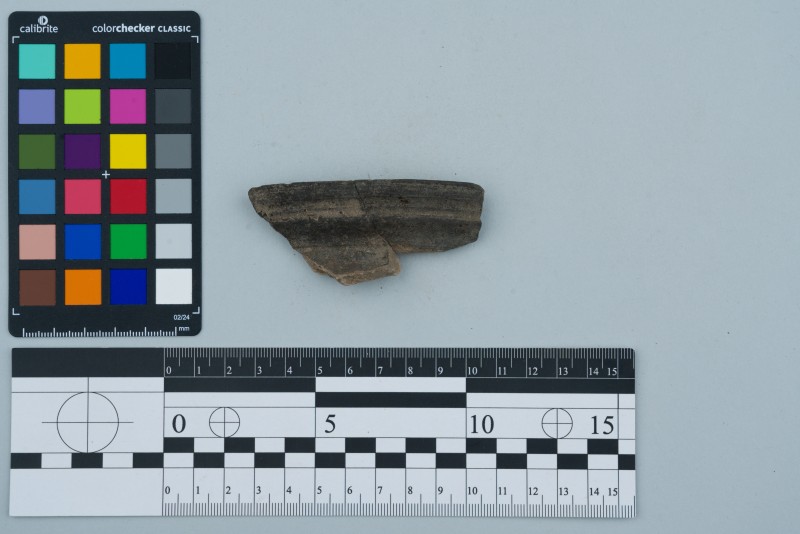 Вінчик посудини